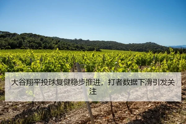 大谷翔平投球复健稳步推进，打者数据下滑引发关注
