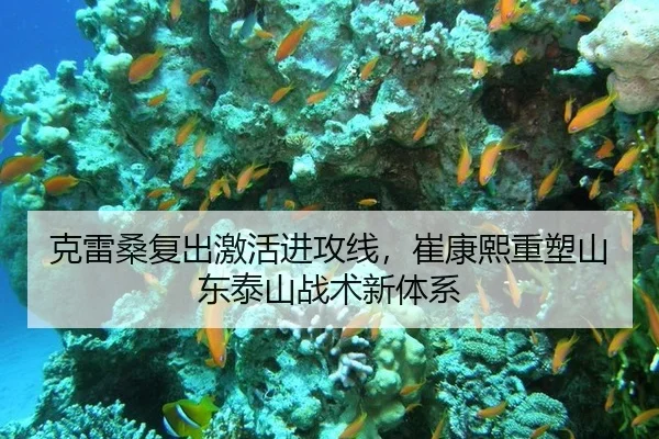 克雷桑复出激活进攻线，崔康熙重塑山东泰山战术新体系