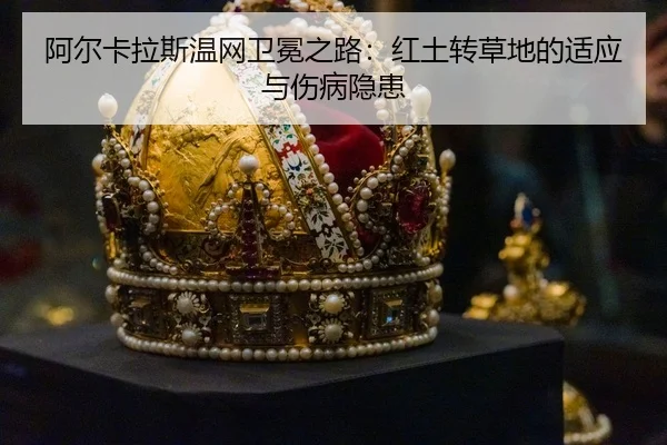 a-er-ka-la-si-wen-wang-wei-mian-zhi-lu-hong-tu-zhuan-cao-di-de-shi-ying-yu-shang-bing-yin-huan-3-702.jpg