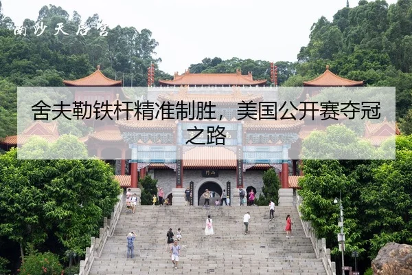 she-fu-lei-tie-gan-jing-zhun-zhi-sheng-mei-guo-gong-kai-sai-duo-guan-zhi-lu-2-979.jpg