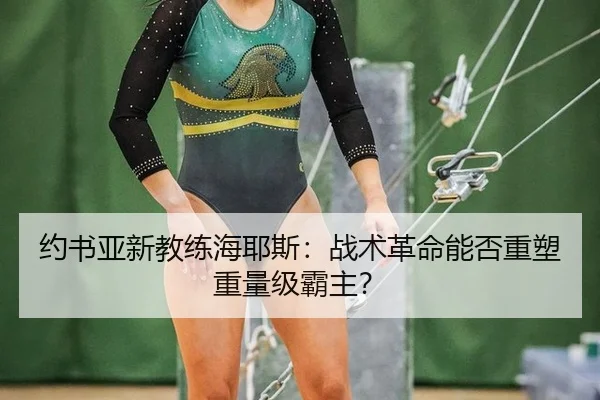 约书亚新教练海耶斯：战术革命能否重塑重量级霸主？