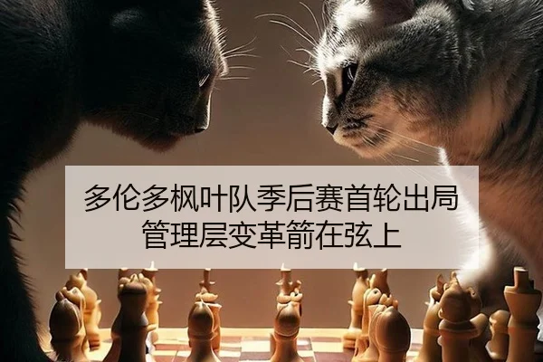 duo-lun-duo-feng-ye-dui-ji-hou-sai-shou-lun-chu-ju-guan-li-ceng-bian-ge-jian-zai-xian-shang-3-509.jpg