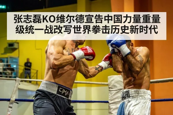 heavyweight title fight