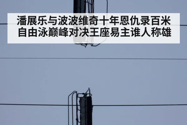 潘展乐与波波维奇十年恩仇录百米自由泳巅峰对决王座易主谁人称雄